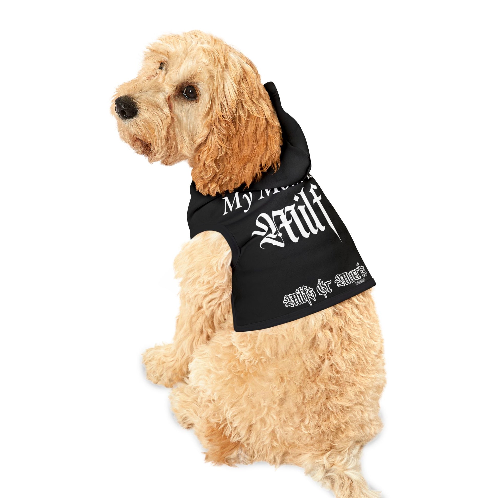 Black Pet hoodie 2
