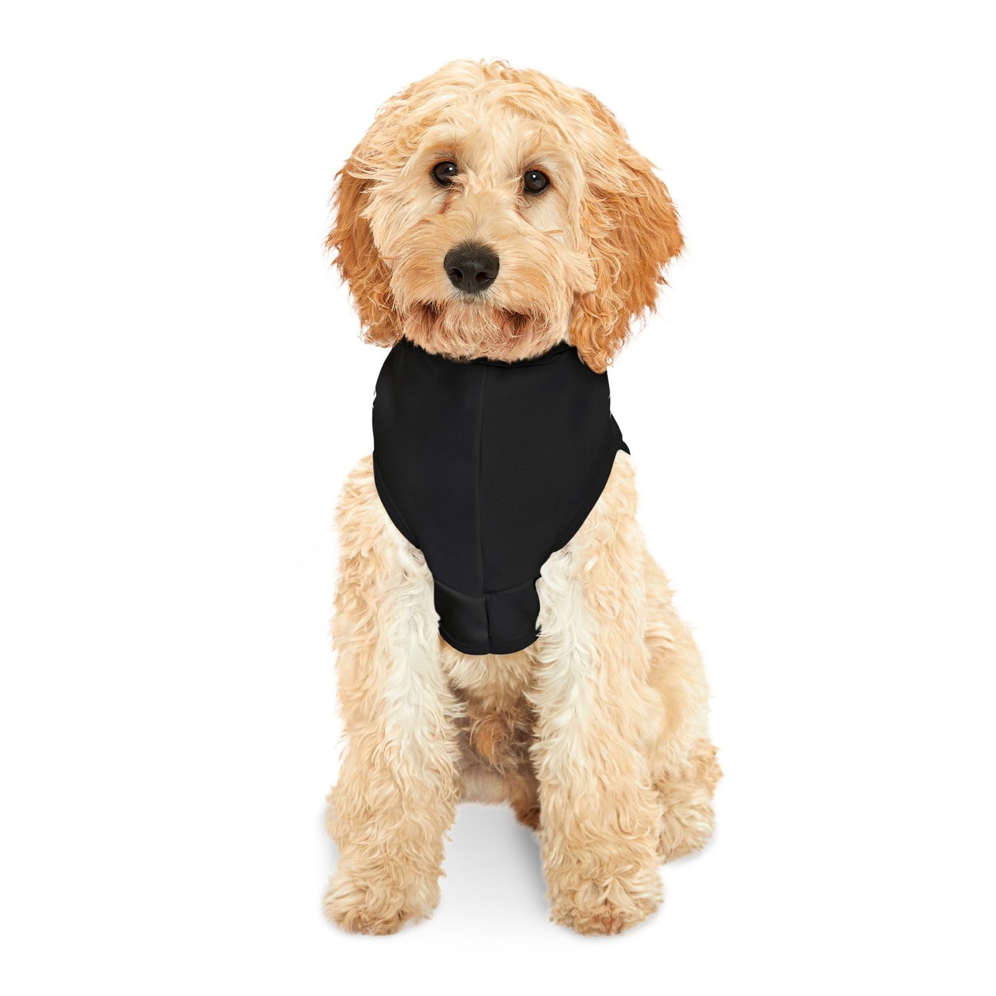 Black Pet hoodie 3