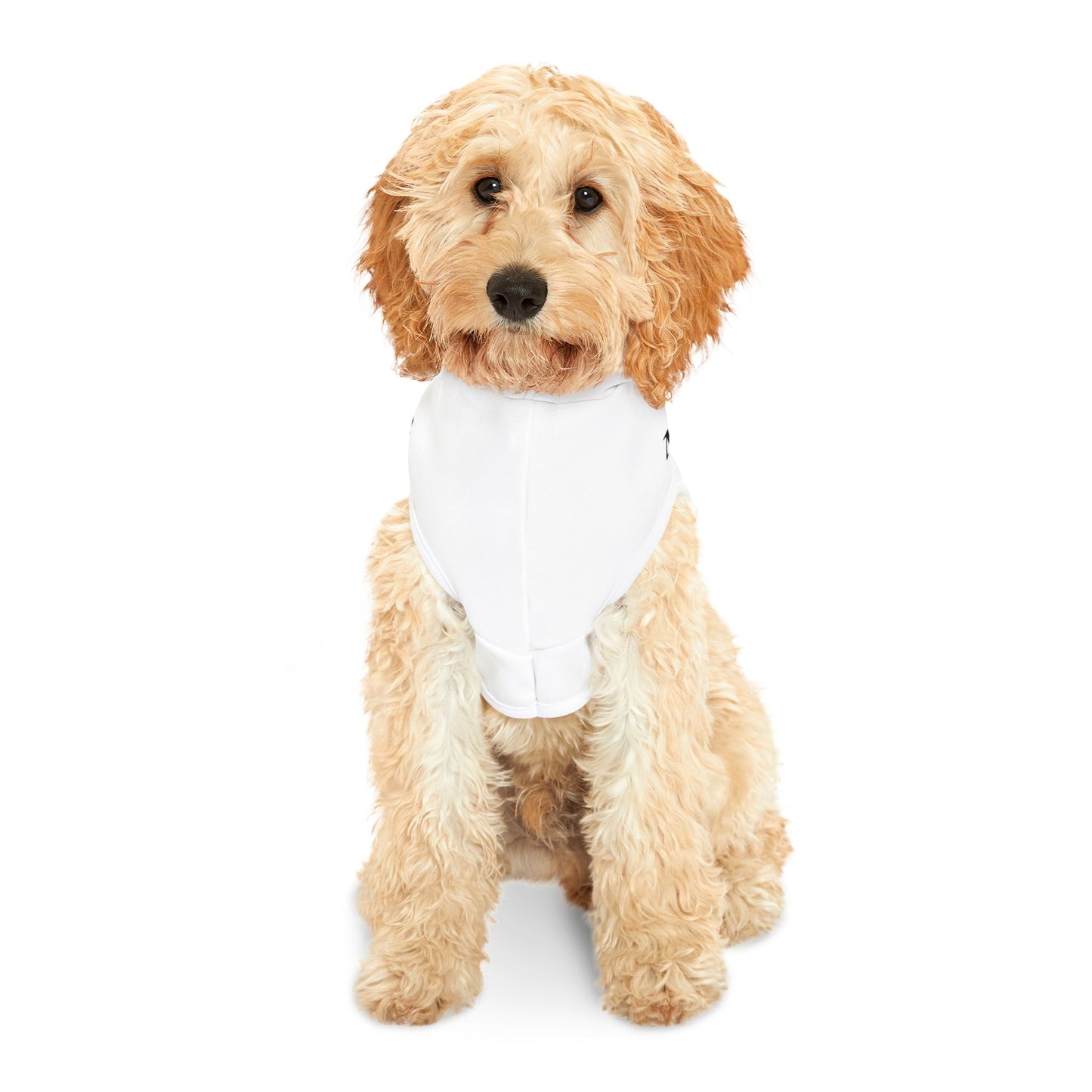 White Pet hoodie 3